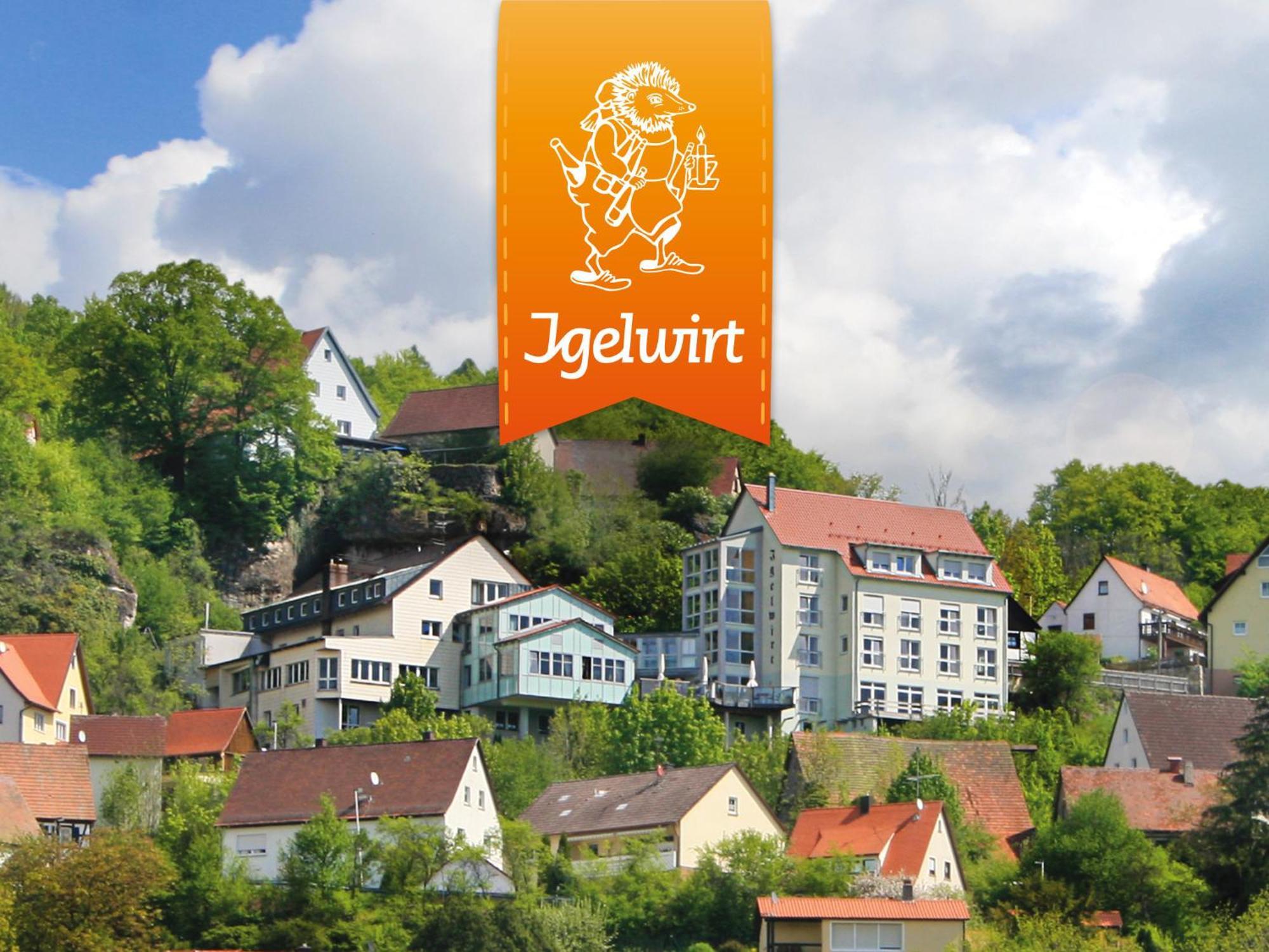 Berggasthof Hotel Igelwirt シュナイッタッハ エクステリア 写真