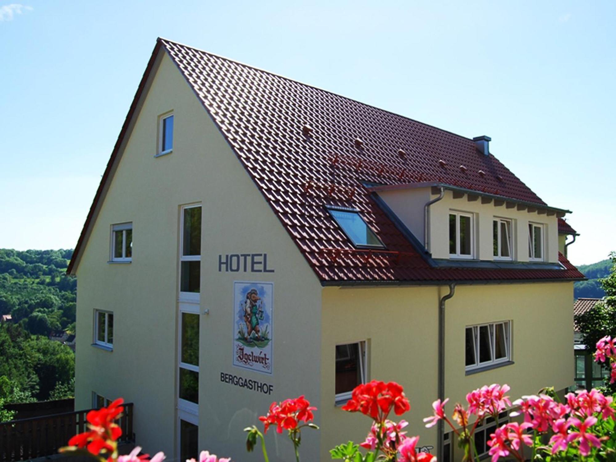 Berggasthof Hotel Igelwirt シュナイッタッハ エクステリア 写真