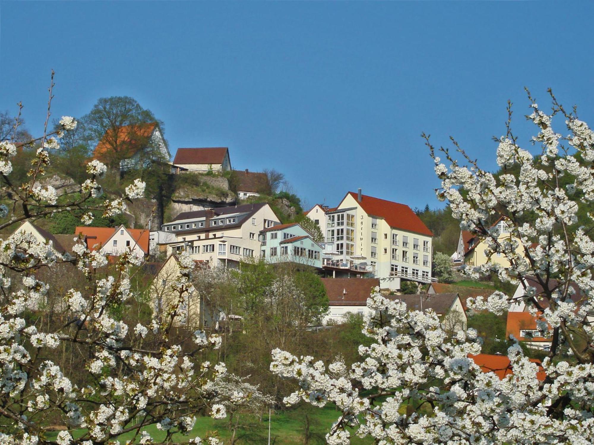 Berggasthof Hotel Igelwirt シュナイッタッハ エクステリア 写真